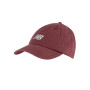 Panel Curved Brim Classic Hat