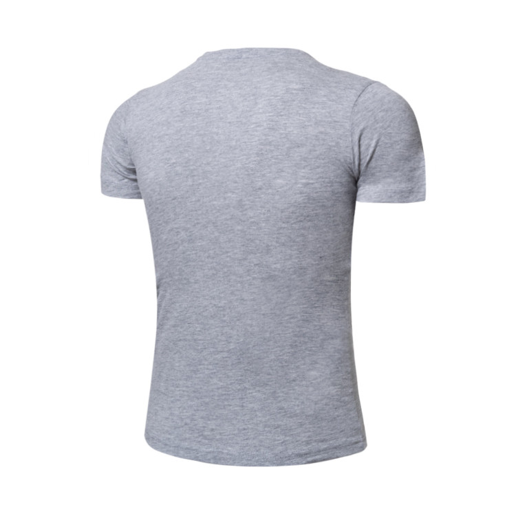 camiseta-champion-graphic-shop-nino-gris-1.jpg