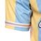 Camiseta Varsity Striped Baseball Blue-Light Yellow-Brown