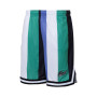 Varsity Striped Mesh-Green-White-Purple