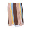 Pantalón corto Varsity Striped Mesh Blue-Light Yellow-Brown