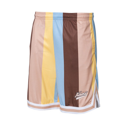 Pantaloncini Varsity Striped Mesh