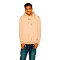 Sweatshirt Karl Kani Small Signature Os Hoodie