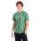 Camiseta Collegiate Graphic Dark Ivy