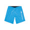 Champion Beachshorts Shorts