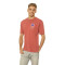Camiseta Graphic Gallery Maroon
