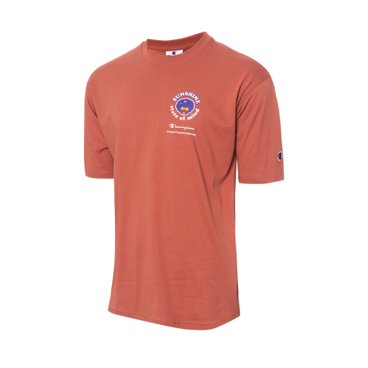 camiseta-champion-graphic-gallery-marron-1.jpg