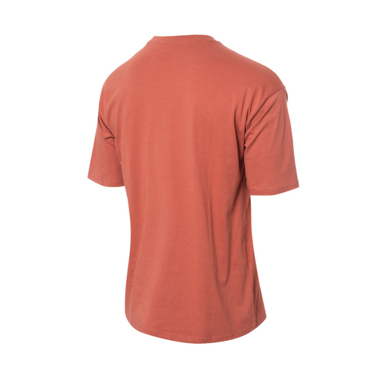 camiseta-champion-graphic-gallery-marron-2.jpg