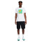 Camisola Nike Sportswear Brandriffs Hbr