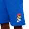 Nike Kids Sportswear Sport Festival Fleece Cargo Shorts