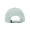 Gorra Signature Washed Mint