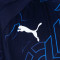 Koszulka Puma TeamLIGAGraphic