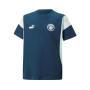 Dzieci Manchester City FC Fanswear 2022-2023 