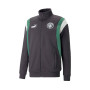 Manchester City FC Fanswear 2022-2023 Flat Dark Gray-Deep Forest