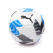 Puma King Bal