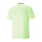 Camiseta Puma TeamLIGA Graphic