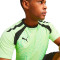 Puma TeamLIGA Graphic Jersey