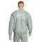 Chaqueta FC Bayern de Múnich Fanswear 2022-2023 Silver Green