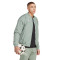 Chaqueta FC Bayern de Múnich Fanswear 2022-2023 Silver Green