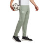 FC Bayern de Múnich Fanswear 2022-2023 Silver Green
