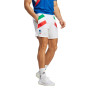 Italia Fanswear Icon
