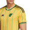 Camiseta Jamaica Primera Equipación 2022-2023 Bold Gold-Vivid Green
