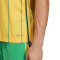 Camiseta Jamaica Primera Equipación 2022-2023 Bold Gold-Vivid Green