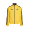 adidas Jamaica Pre-Match 2022-2023 Jacket