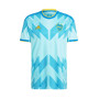 CA Boca Juniors Third Jersey 2023-2024