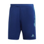 Tiro Victory Blue
