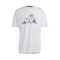 Camiseta adidas D4M Hiit Graphic