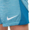 Pantaloncini Nike Dri-Fit Academy