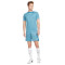 Maillot Nike Dri-Fit Academy GX