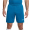 Spodenki Nike Dri-Fit Academy 23