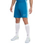 Dri-Fit Academy 23 Green Abyss-Baltic Blue-White