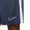 Pantalón corto Nike Dri-Fit Academy 23