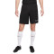 Pantaloncini Nike Dri-Fit Academy 23