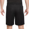 Nike Dri-Fit Academy 23 Shorts