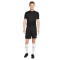 Spodenki Nike Dri-Fit Academy 23