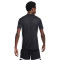 Camiseta Nike Dri-Fit Academy 23