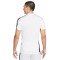 Nike Dri-Fit Academy 23 Jersey