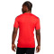 Camiseta Nike Dri-Fit Academy 23