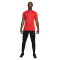 Camisola Nike Dri-Fit Academy 23