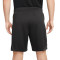 Pantalón corto Dri-Fit Strike Black-Anthracite-White