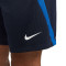 Pantalón corto Dri-Fit Strike Obsidian-Royal Blue-White