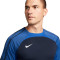 Nike Dri-Fit Strike Jersey