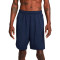 Nike Dri-Fit Totality Shorts