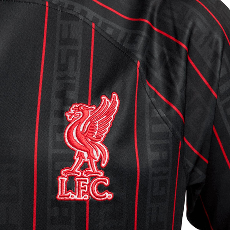 camiseta-nike-liverpool-fc-edicion-especial-2022-2023-anthracite-gym-red-6.jpg