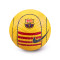 Balón Nike FC Barcelona 2024-2025