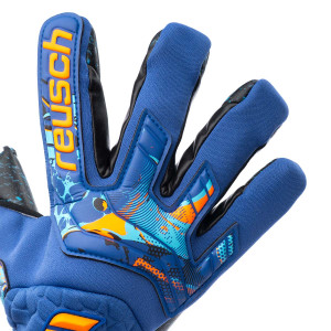 DORSO-1
